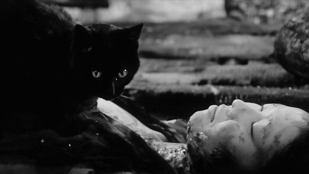 Kuroneko (1968) - The Cat Movie Archive