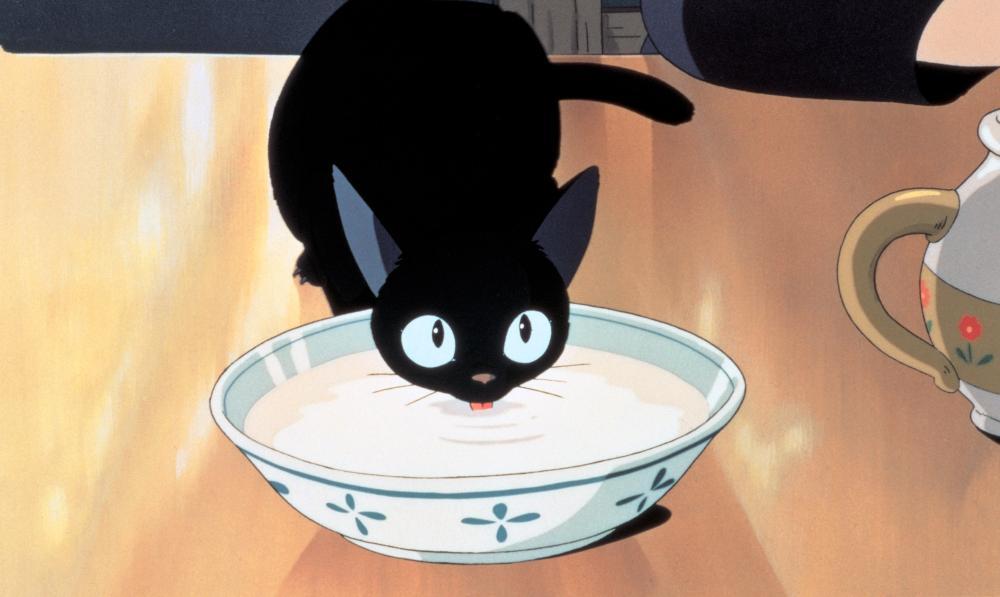 Kikis Delivery Service cat