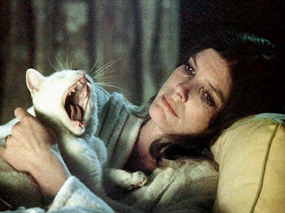 The Legacy Katharine Ross