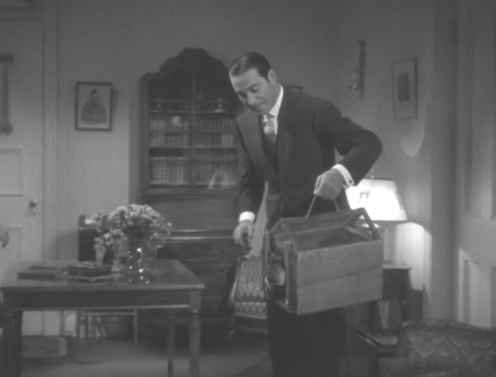 Perry Mason The Case of the Black Cat