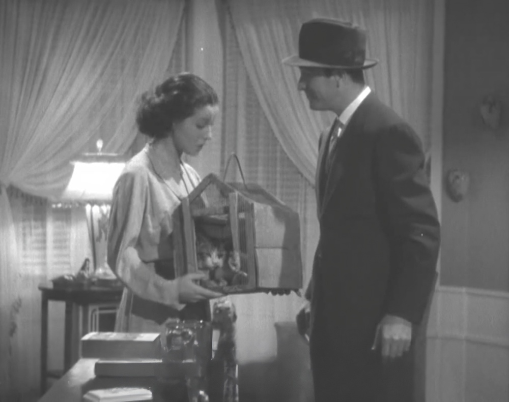The Case of the Black Cat (1936)