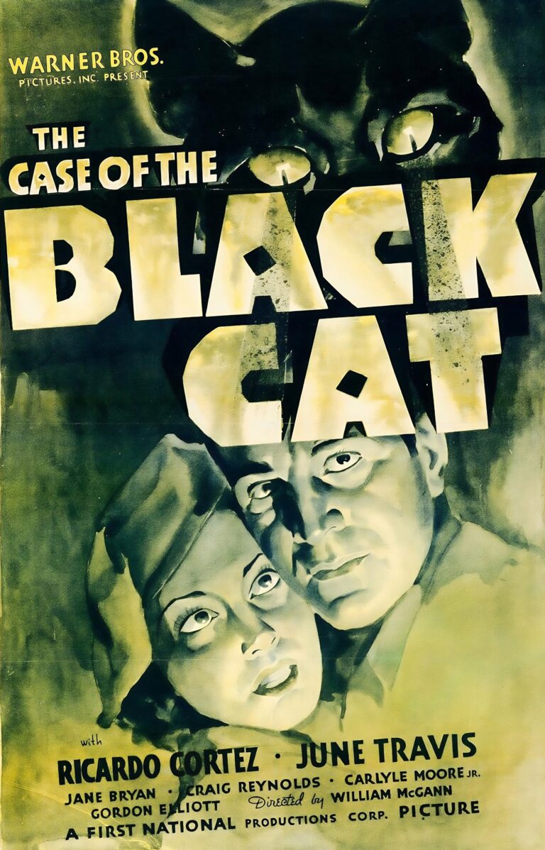 The Case of the Black Cat movie poster