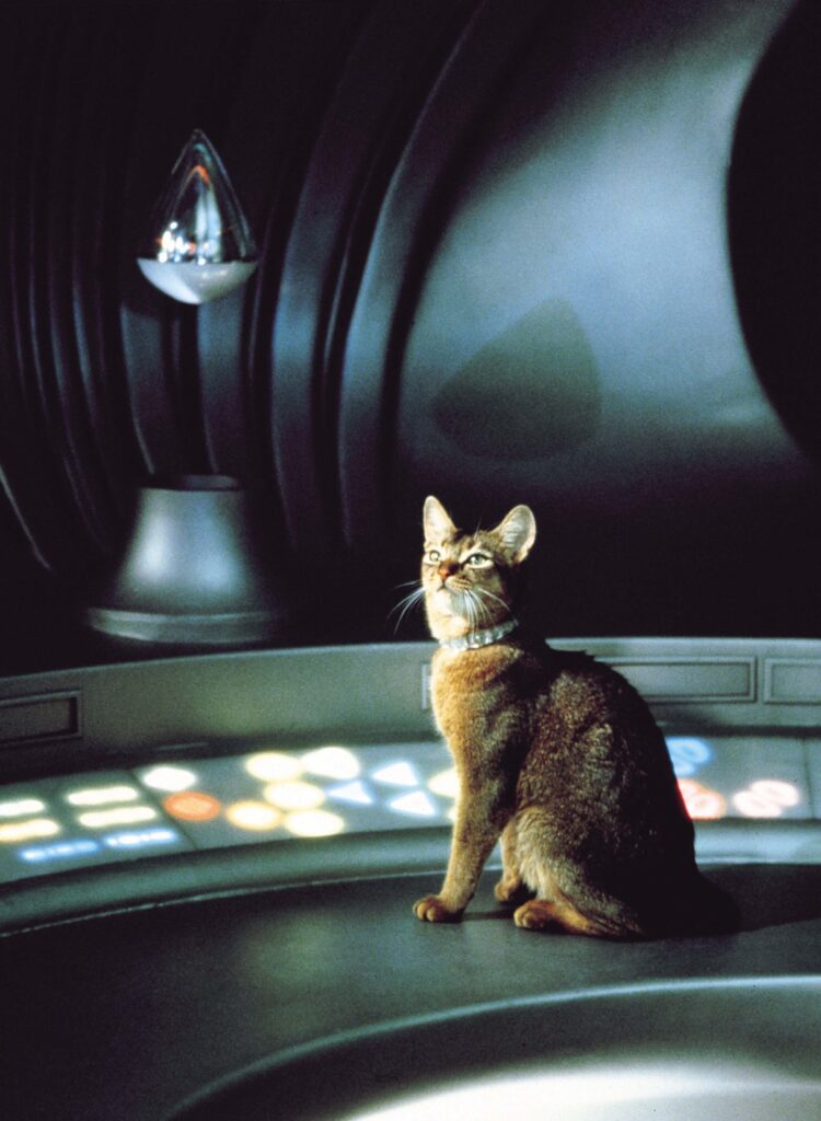 The Cat From Outer Space (1978): Alien Fun from Disney’s Golden Age of ...