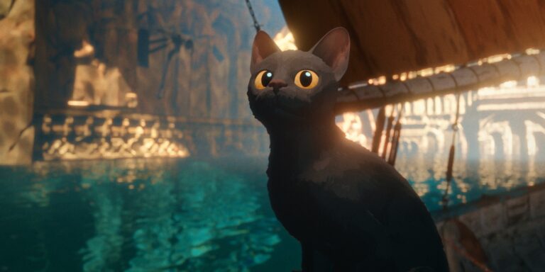 Flow movie cat