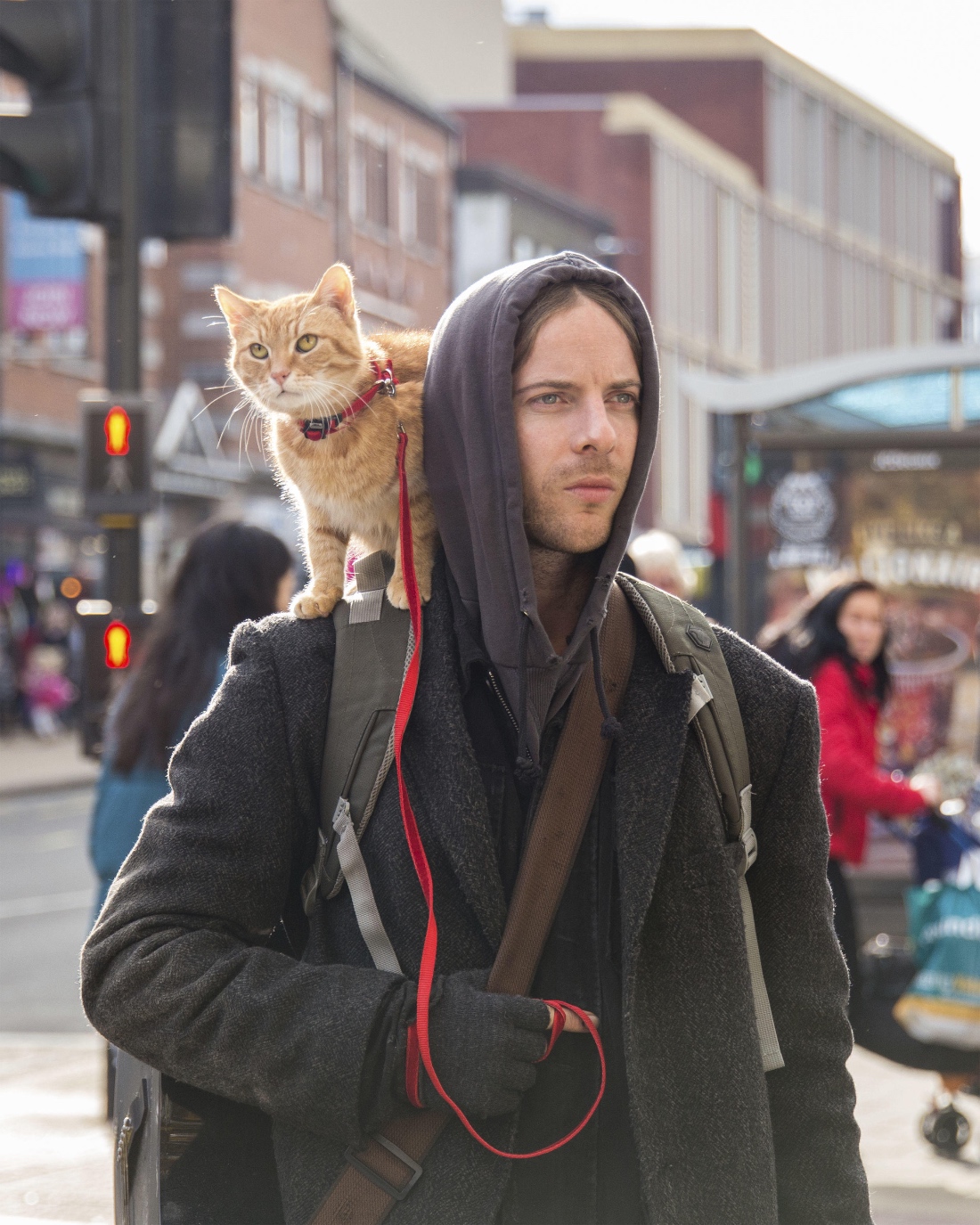 A Gift From Bob 2020