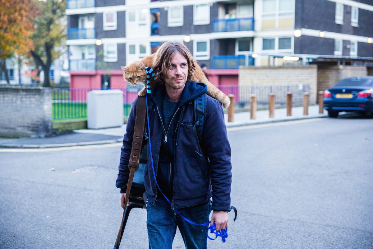 A Street Cat Named Bob film