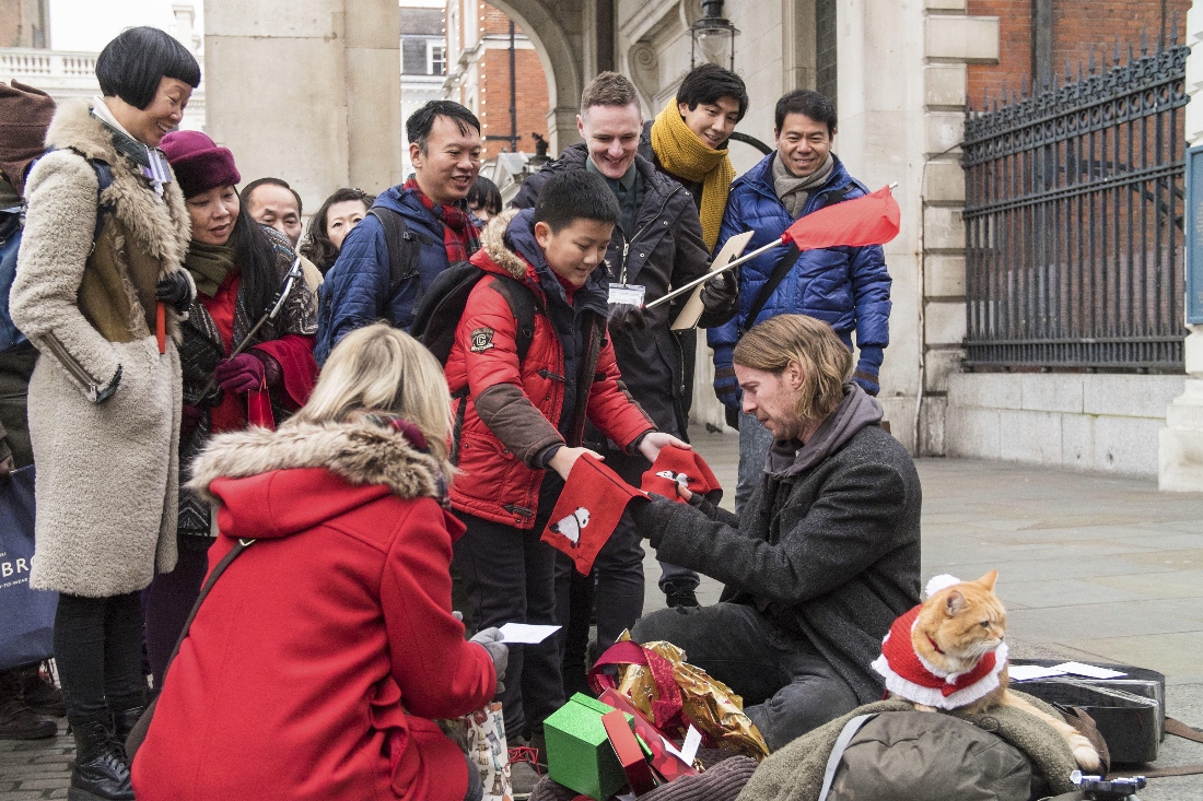 Bob the cat Christmas movie