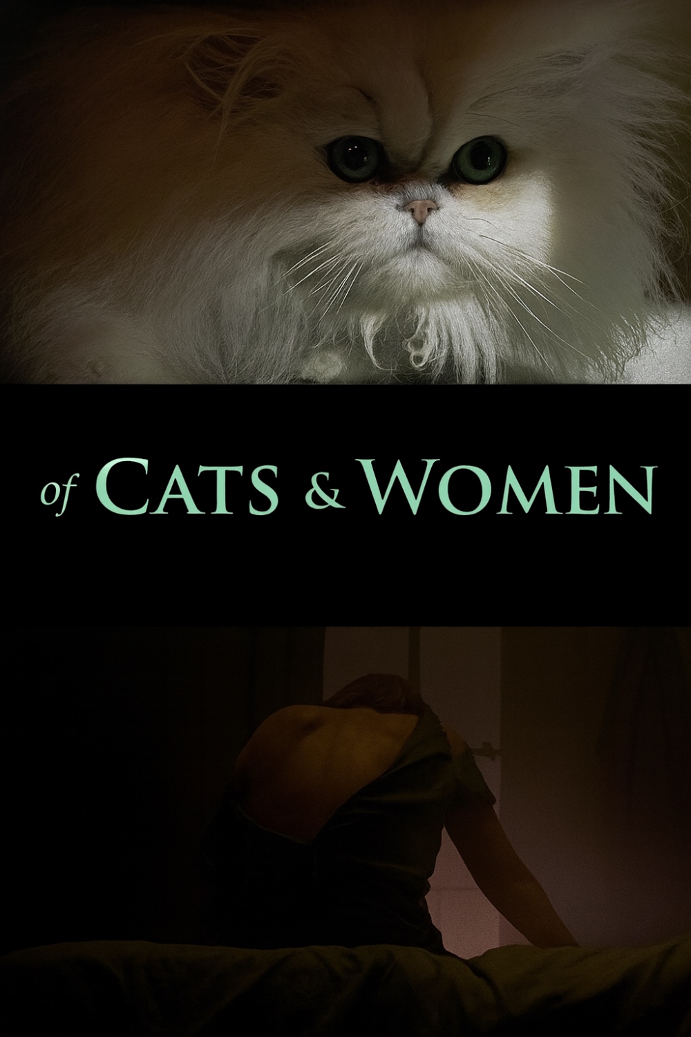 Of Cats and Women Jonas Govaerts