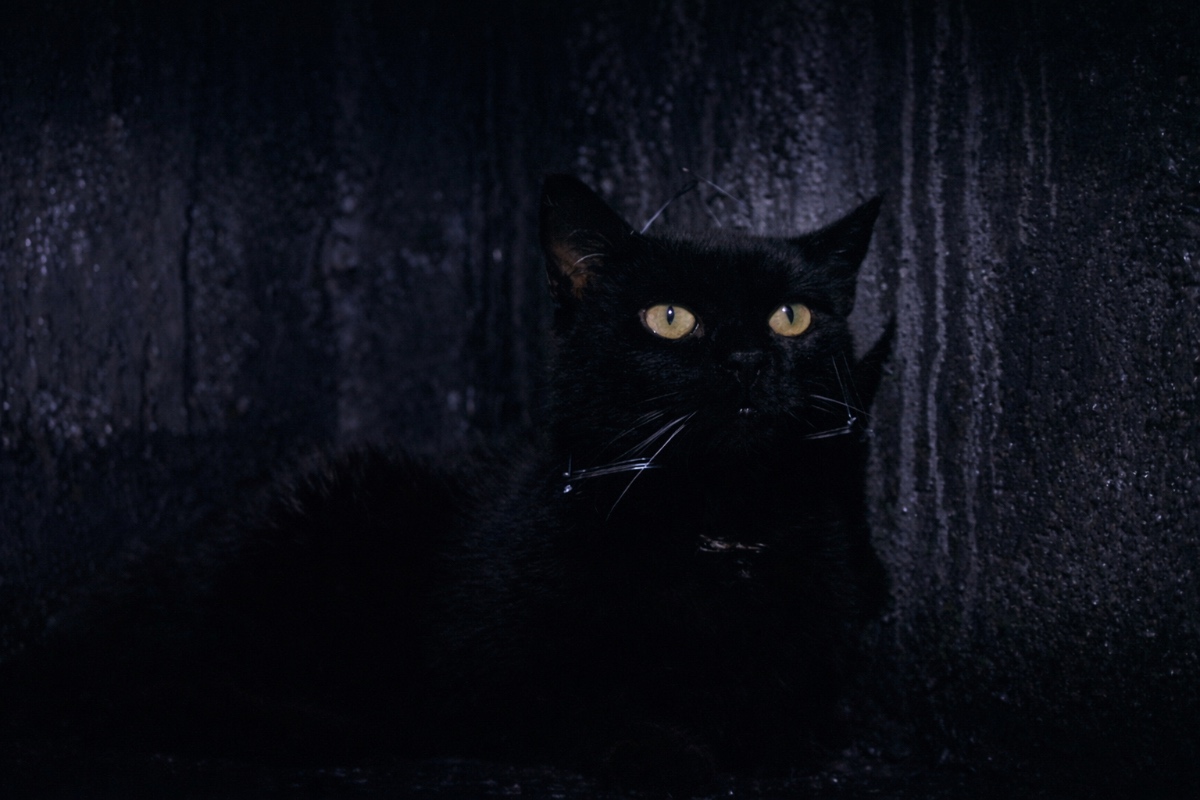 The Tomb of Ligeia 1964