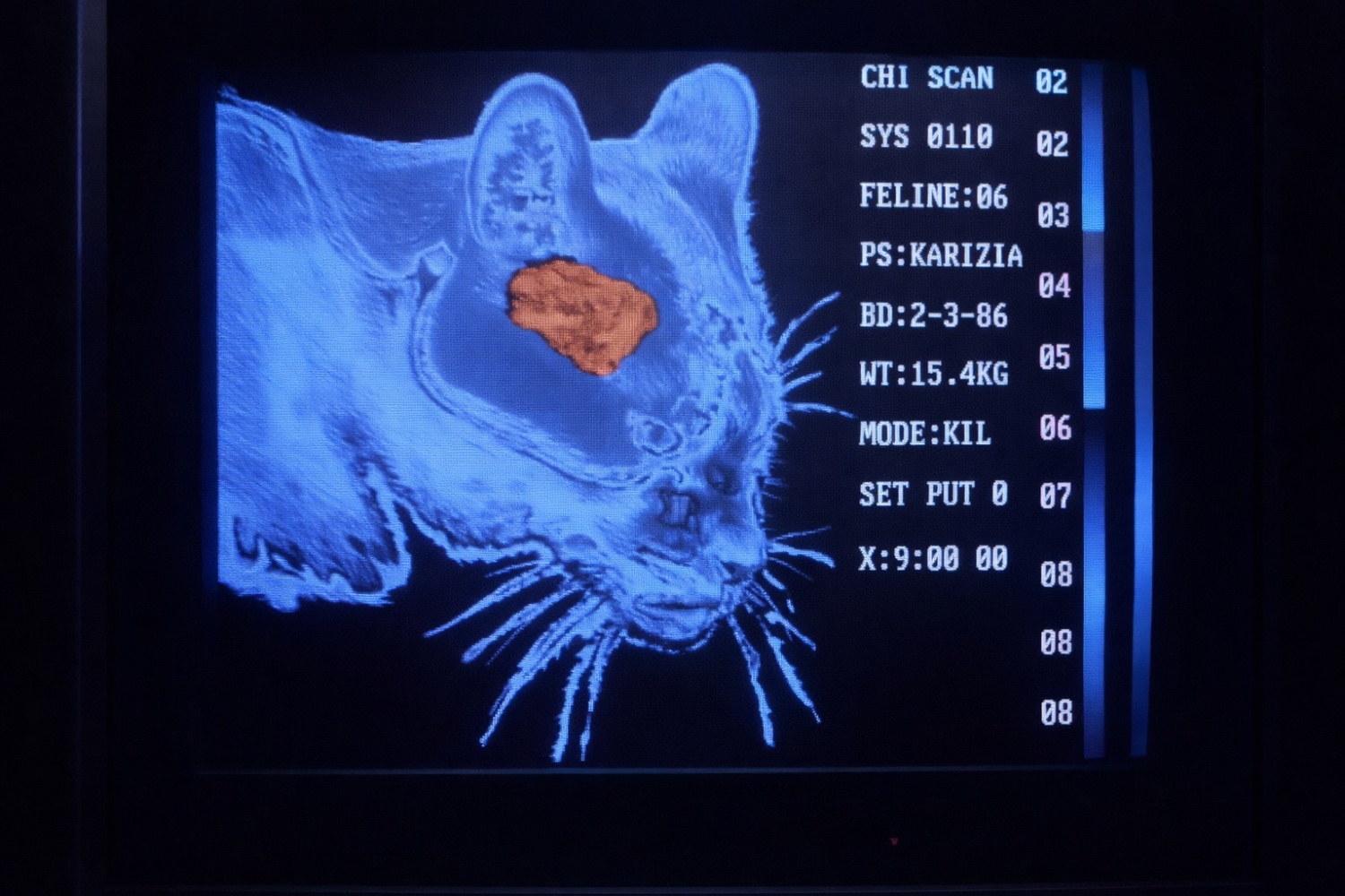 Tales From the Crypt episode