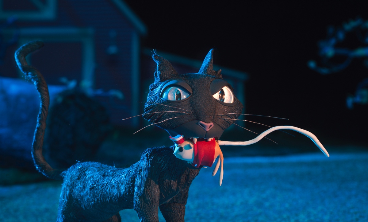 Coraline cat
