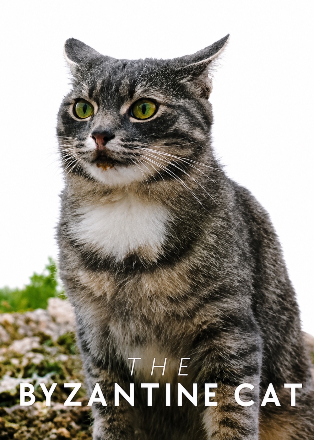 The Byzantine Cat movie poster