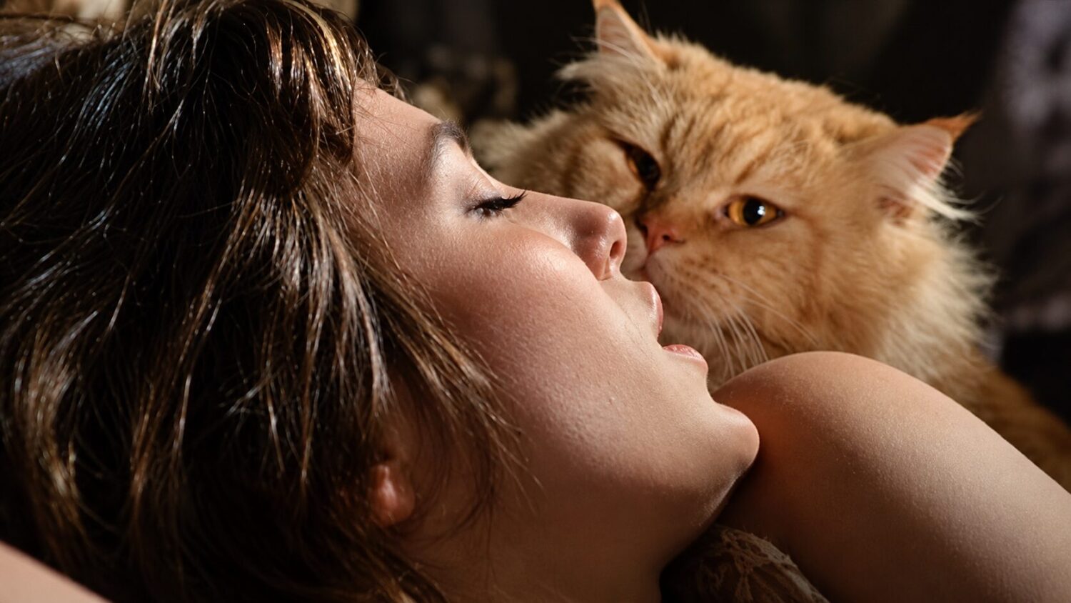 La morte negli occhi del gatto